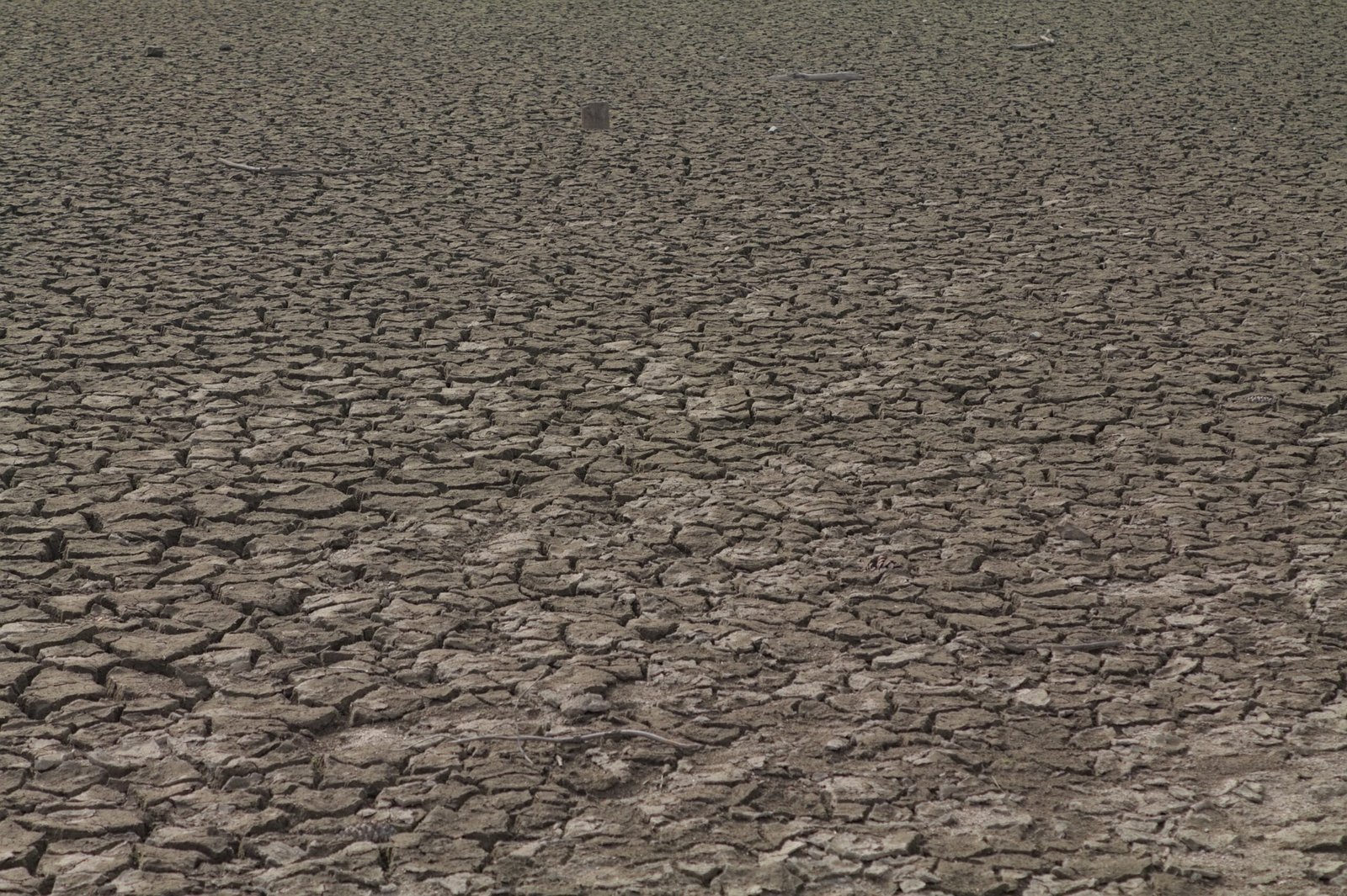 Drought-cracked dry soil